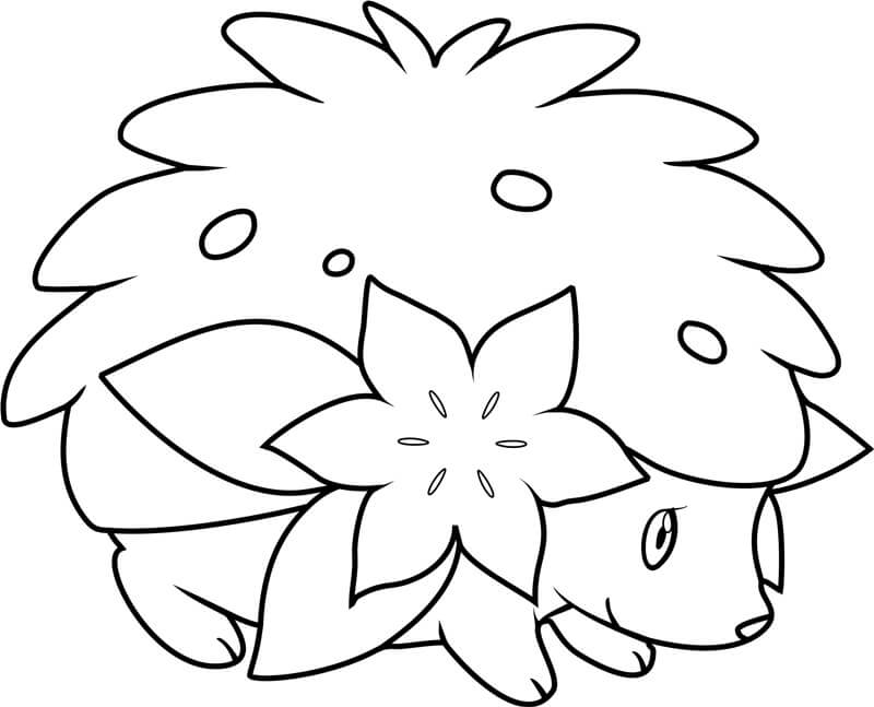 Beautiful Pokemon Shaymin Tegninger til Farvelægning