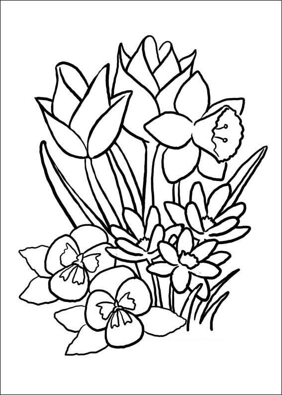 Blomster om foråret Tegninger til Farvelægning