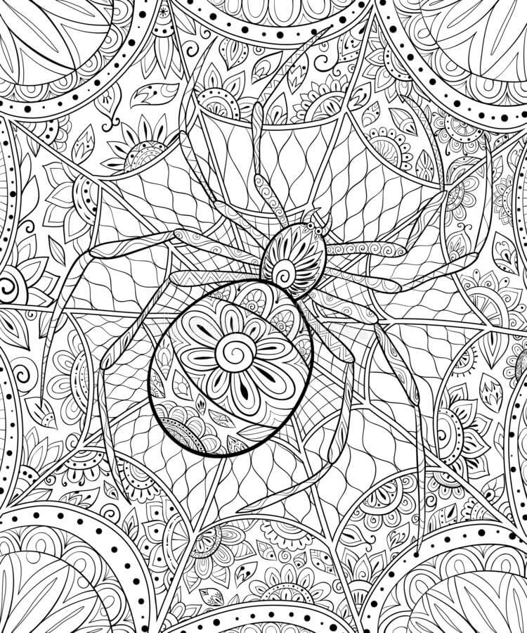 Edderkop i Halloween Mandala Tegninger til Farvelægning
