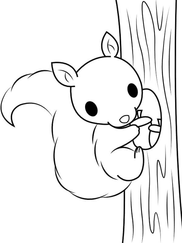 Egern Klatretræ Tegninger til Farvelægning