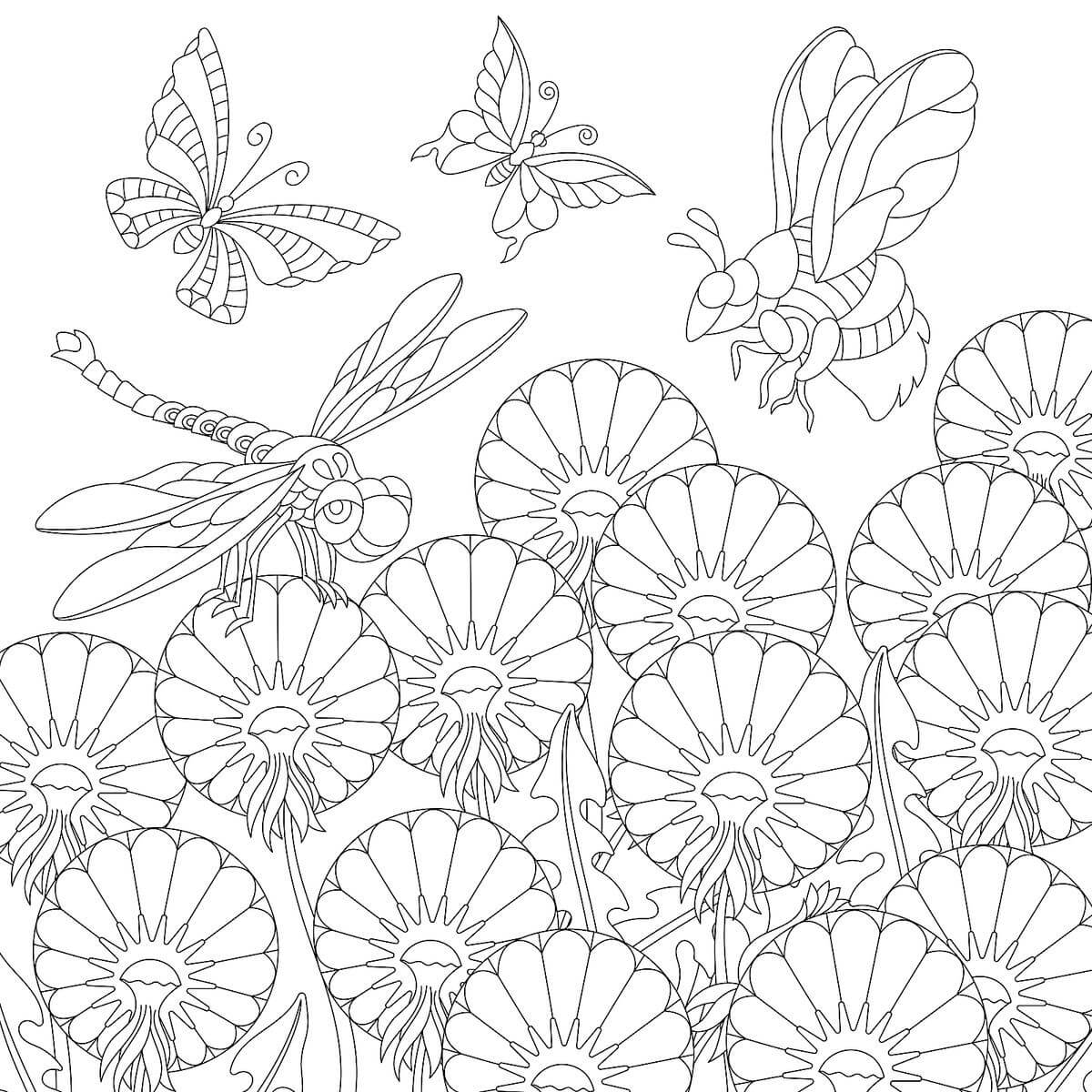 Fire Insekter Og Blomster Tegninger til Farvelægning
