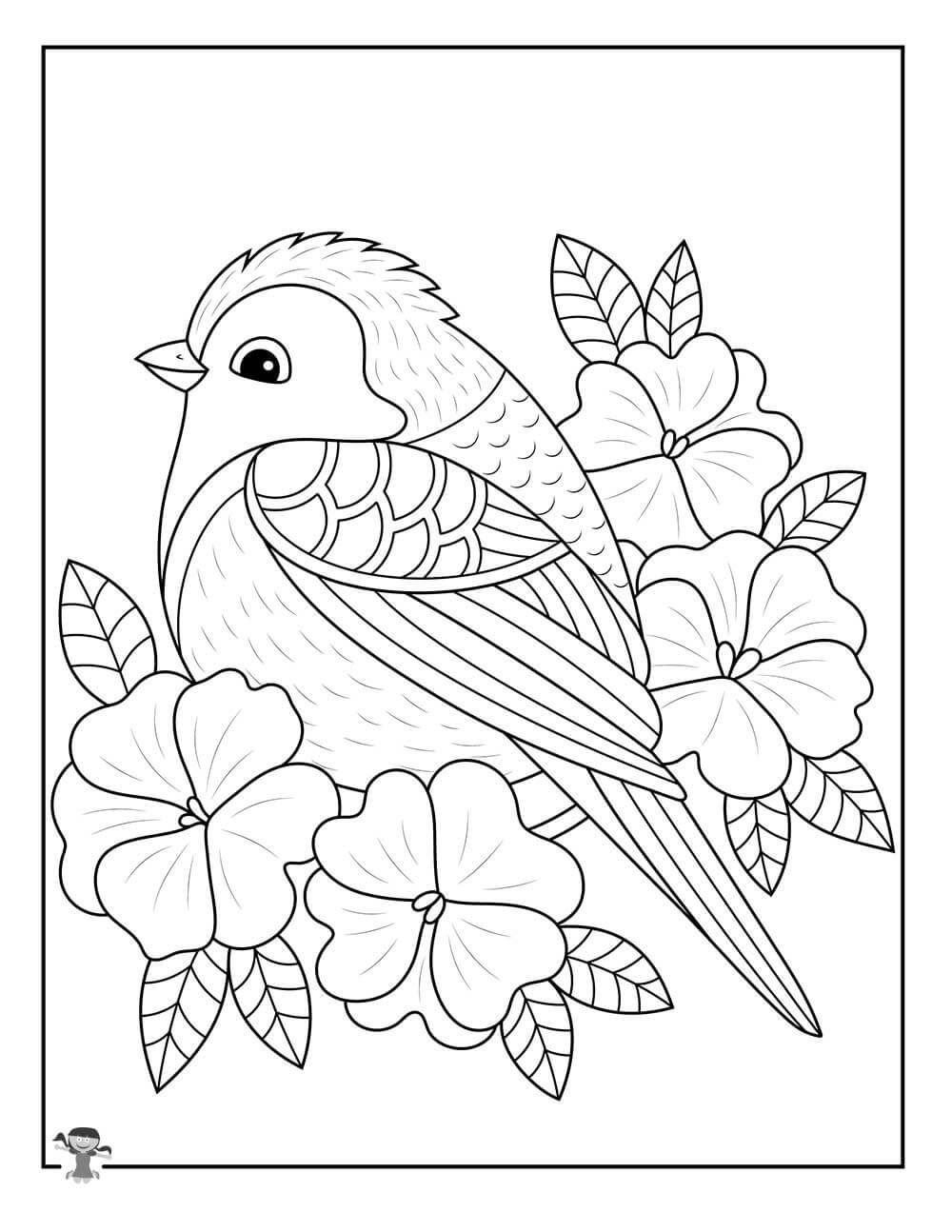 Forårsfugl Og Blomster Tegninger til Farvelægning