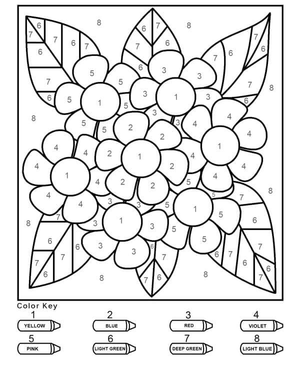 Grundlæggende blomst med blade farve efter nummer Tegninger til Farvelægning