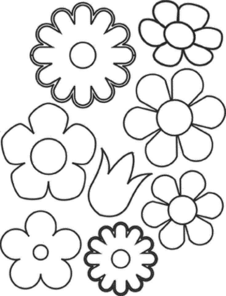 Grundlæggende Blomster Tegninger til Farvelægning