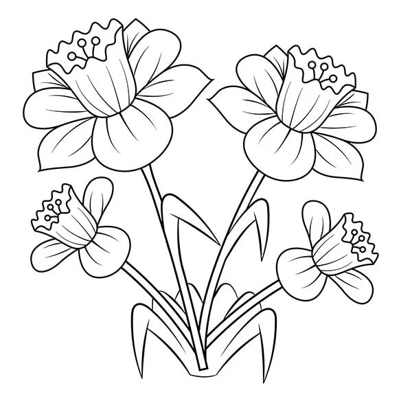 Grundlæggende blomster i foråret Tegninger til Farvelægning