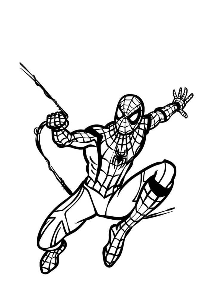 Grundlæggende Tegning Spiderman Tegninger til Farvelægning