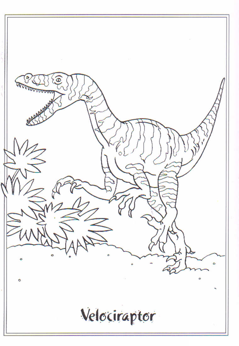 Grundlæggende Velociraptor Tegninger til Farvelægning