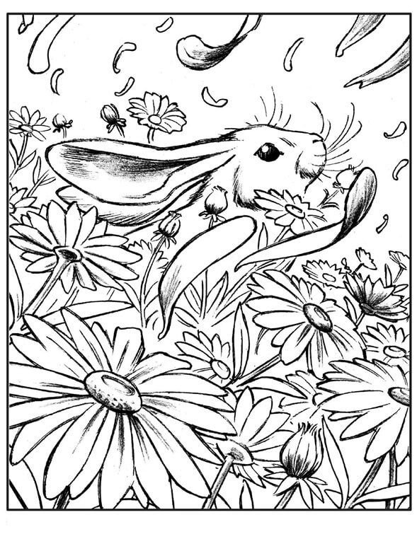 Kanin Med Blomster Tegninger til Farvelægning
