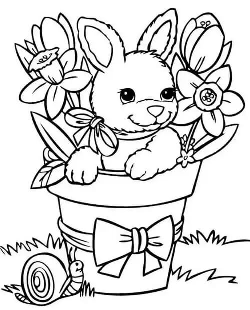 Kanin med blomster og snegl om foråret Tegninger til Farvelægning