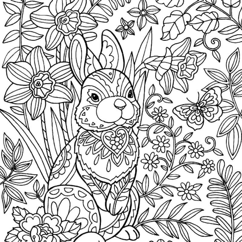 Kanin med blomster om foråret Tegninger til Farvelægning