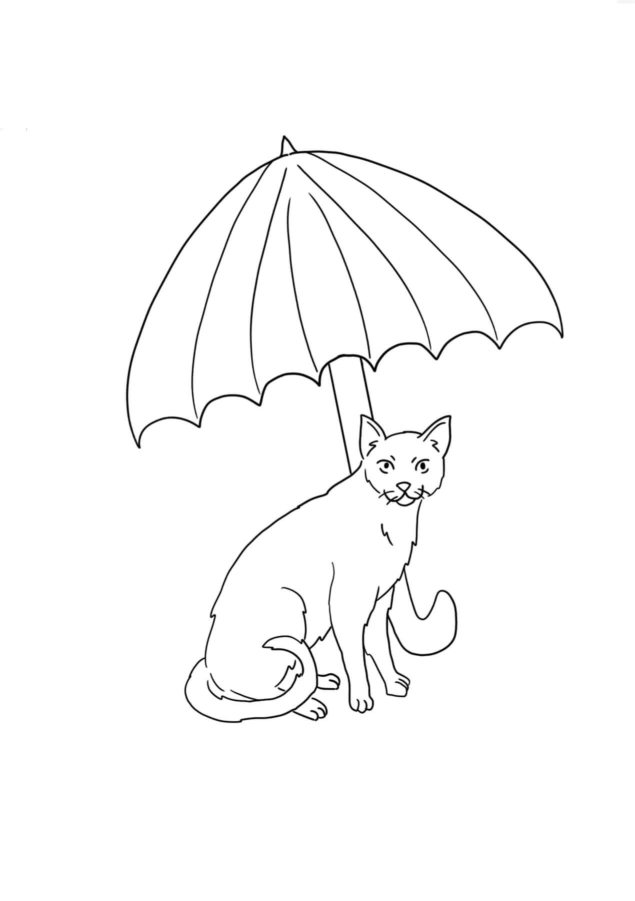 Kat Med Paraply Tegninger til Farvelægning