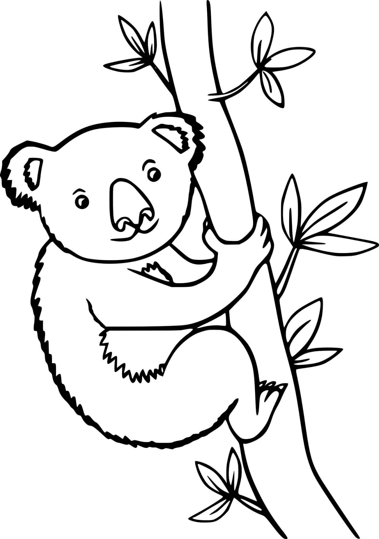 Koala Klatrer I Træet Tegninger til Farvelægning