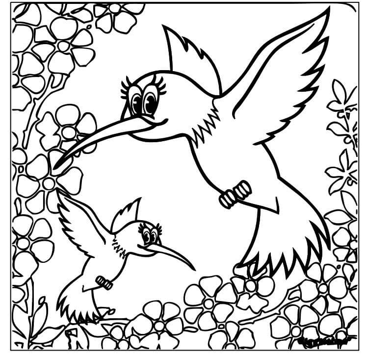 Kolibrier om foråret Tegninger til Farvelægning