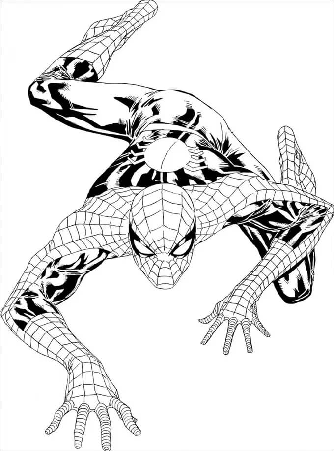 Komisk Spiderman-Klatring Tegninger til Farvelægning