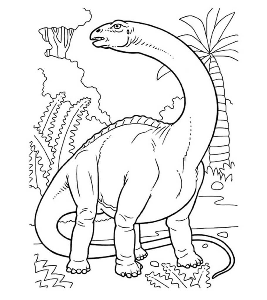Langhalset Dinosaur Tegninger til Farvelægning