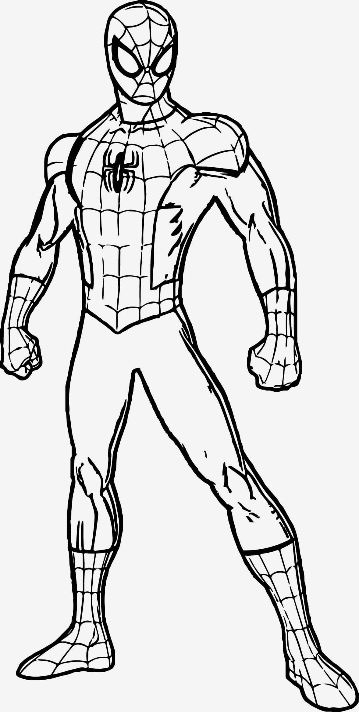 Normal Spiderman Tegninger til Farvelægning