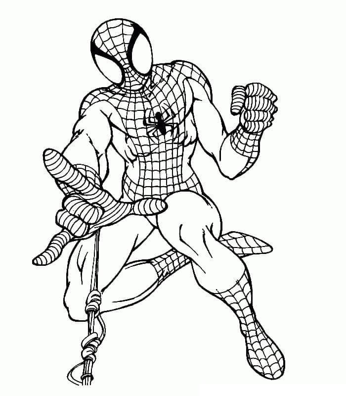 Simpel Tegning Spiderman Tegninger til Farvelægning