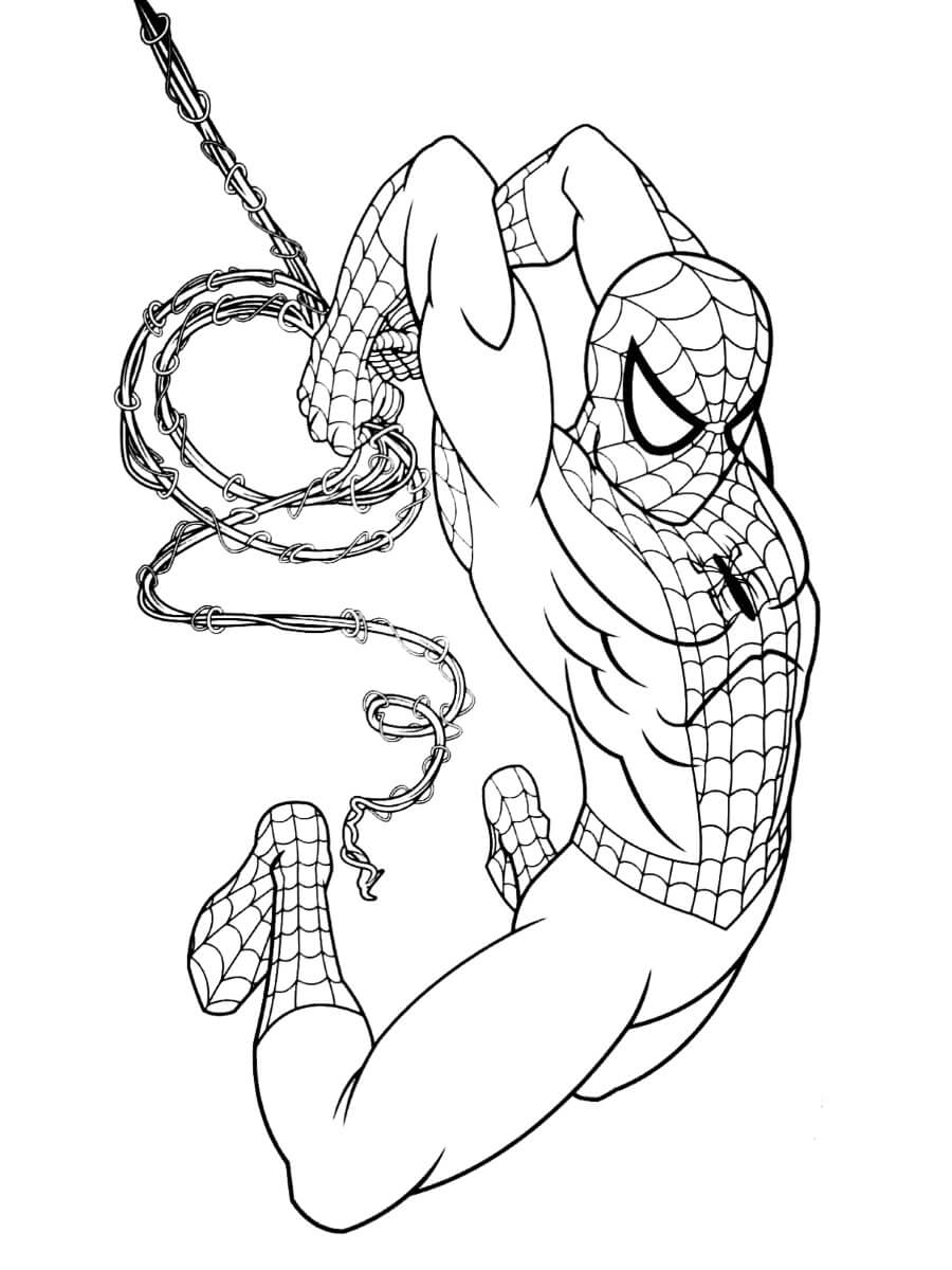 Spiderman Angreb Tegninger til Farvelægning