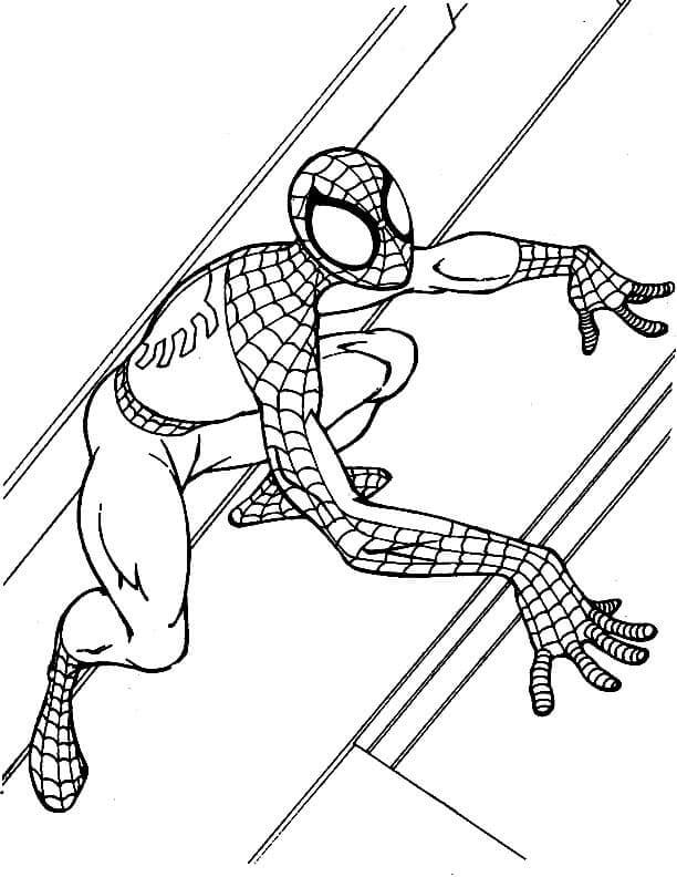 Spiderman Klatring Tegninger til Farvelægning