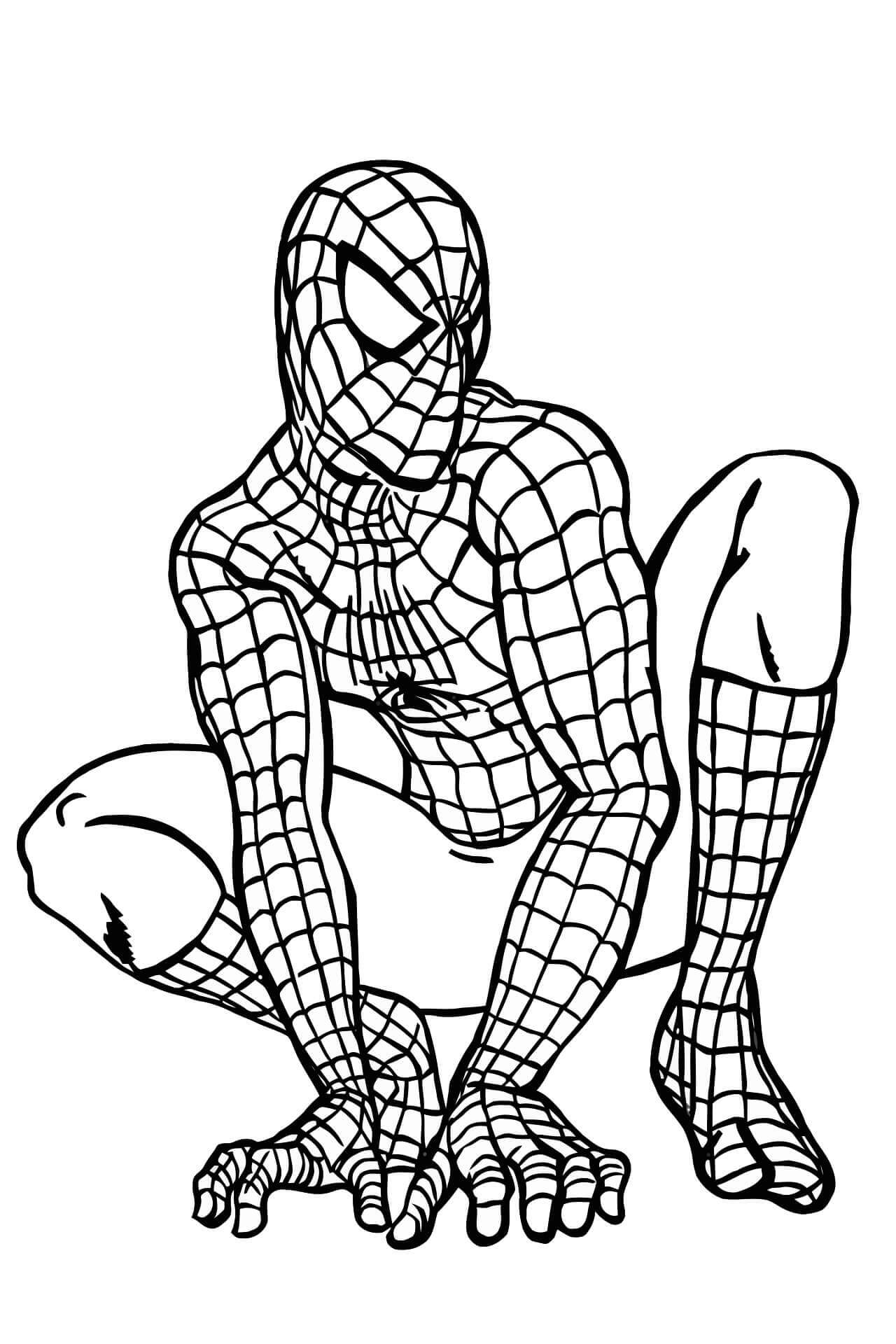 Spiderman Satte Sig På Hug Tegninger til Farvelægning