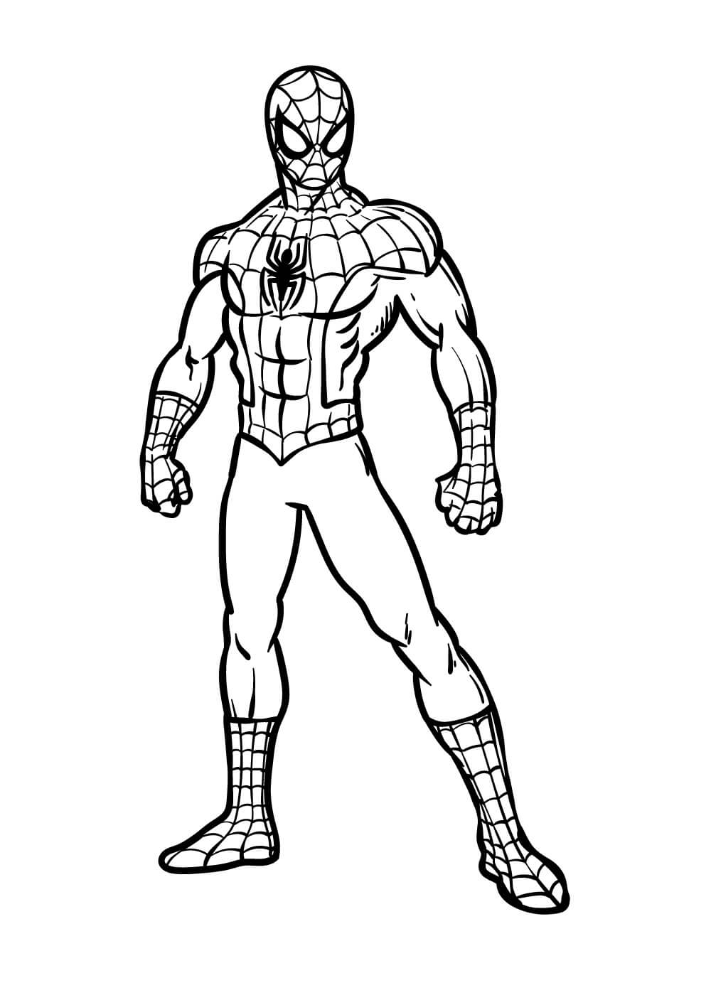 Spiderman Stående Tegninger til Farvelægning