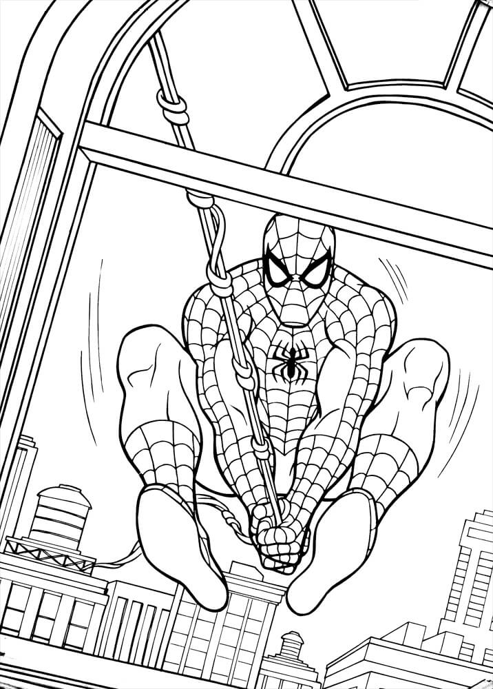 Spiderman Svinger Udenfor Vinduet Tegninger til Farvelægning