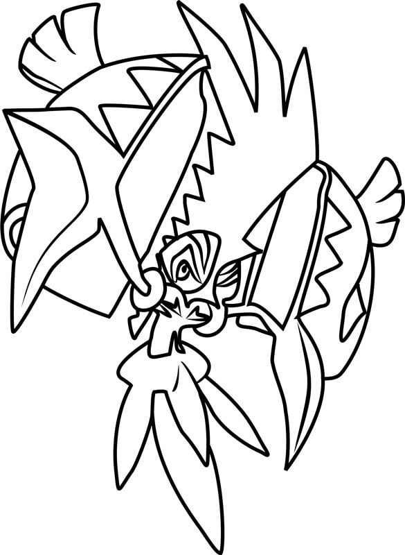 Tapu Koko Fighting Tegninger til Farvelægning
