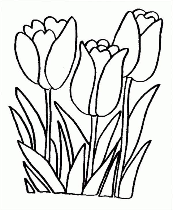 Tegning Tre Blomster Tegninger til Farvelægning