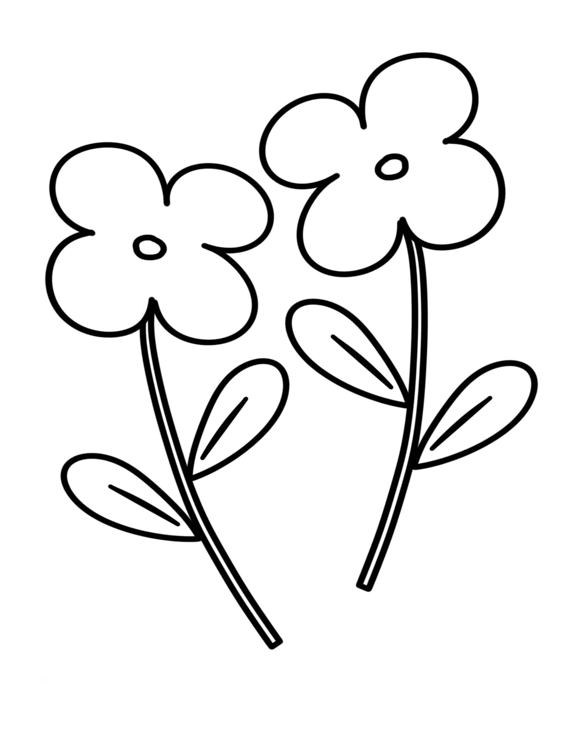 To blomster om foråret Tegninger til Farvelægning