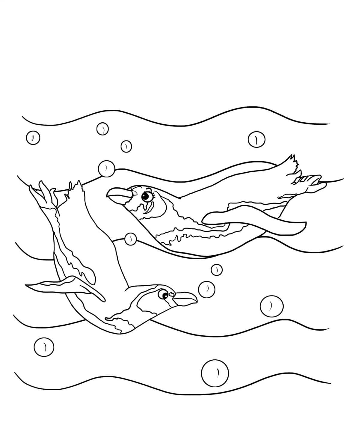 To Pingviner Svømmende Tegninger til Farvelægning