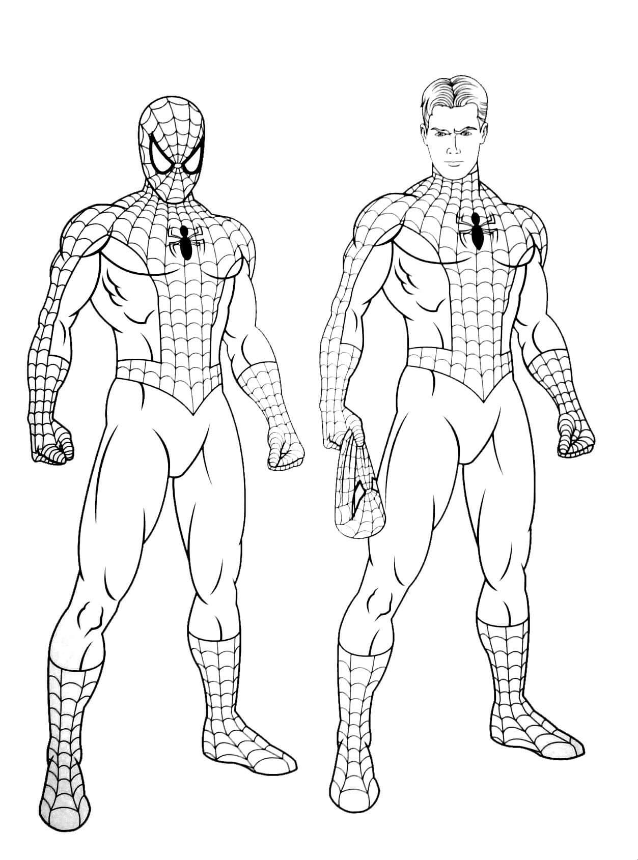 To Spiderman Tegninger til Farvelægning