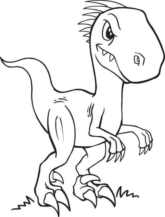 Velociraptor Dinosaur Tegninger til Farvelægning