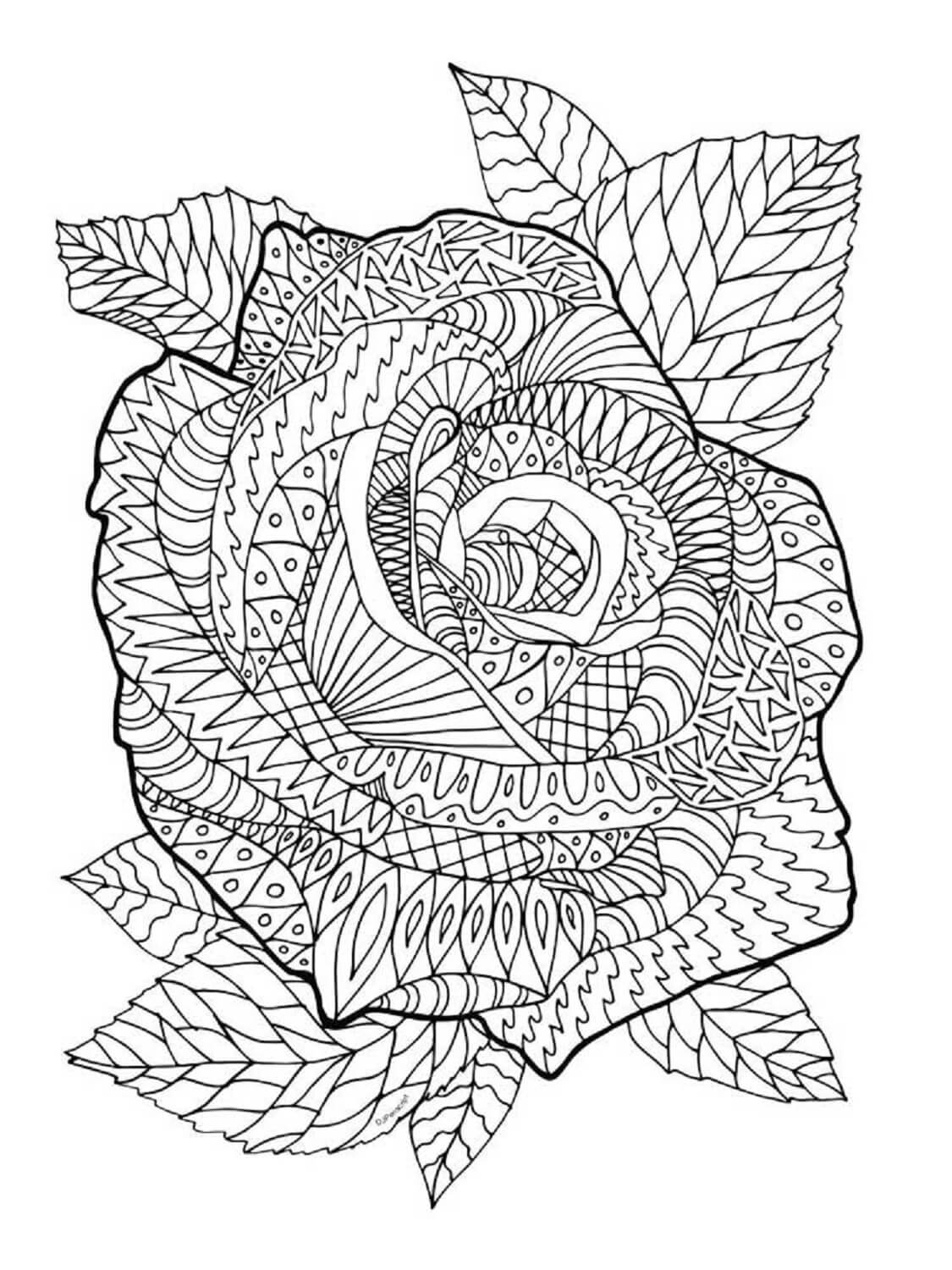 Zentangle Rose Tegninger til Farvelægning