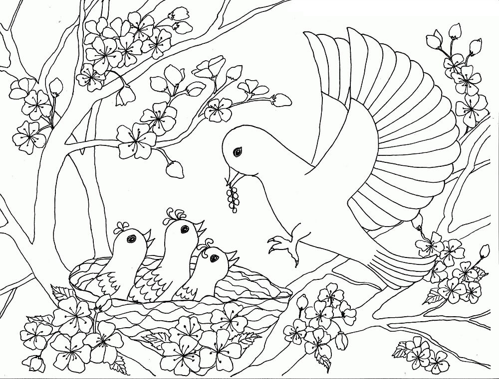 Fuglefamilien på kirsebærtræet Tegninger til Farvelægning
