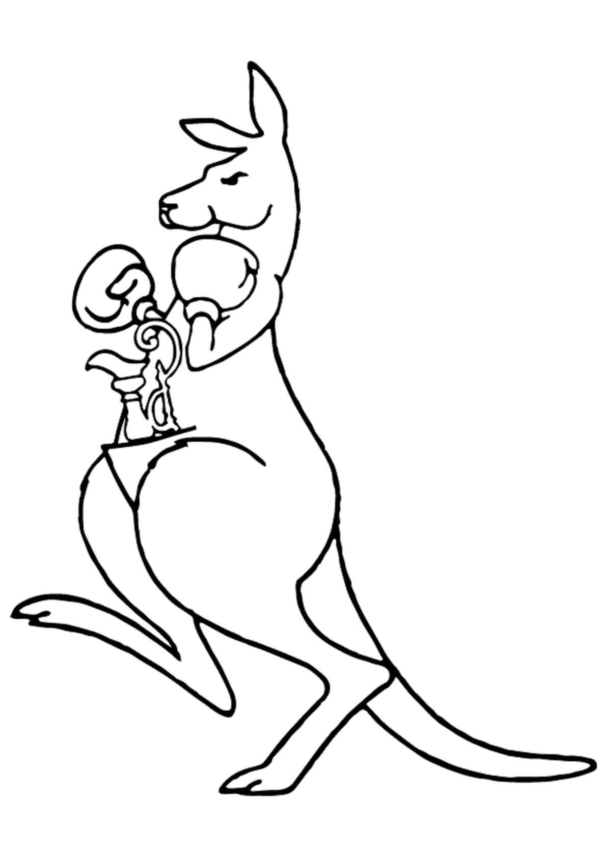 Kænguru Bokse Spiller Tegninger til Farvelægning