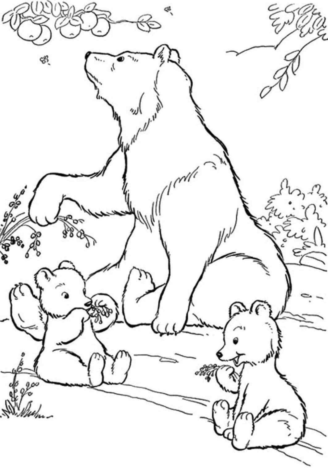 Bjørnemor Og To Babybjørne Tegninger til Farvelægning