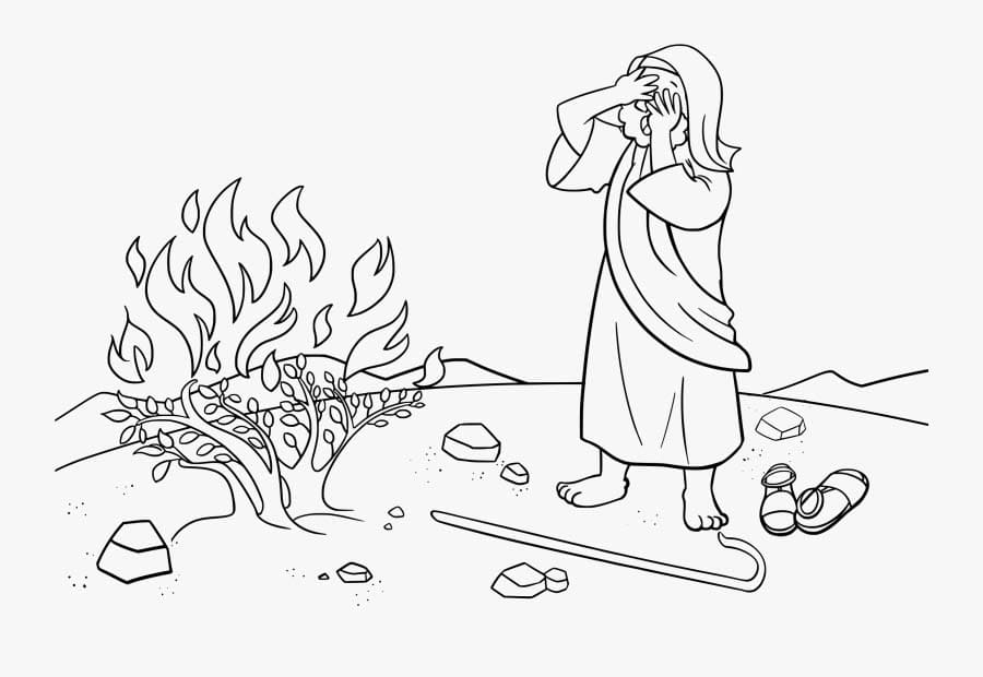 Moses omrids Tegninger til Farvelægning