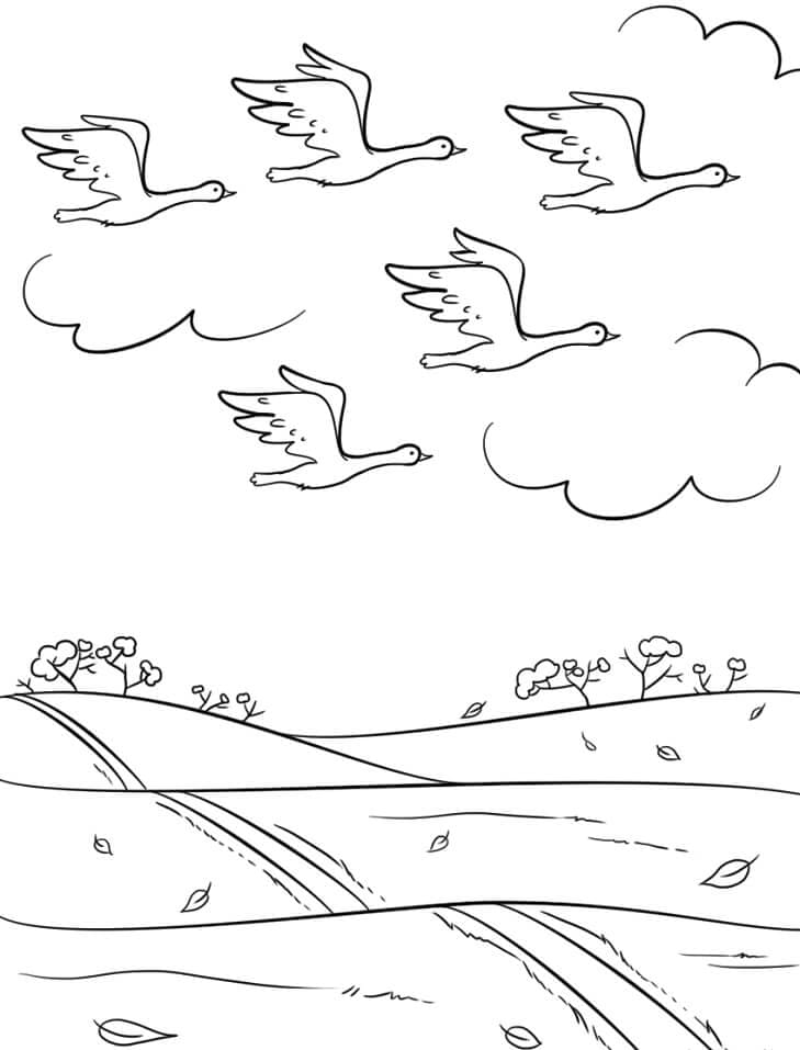 Efterår og trækfugle Tegninger til Farvelægning