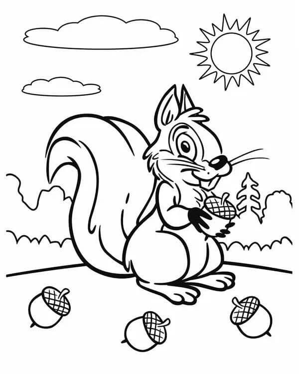 Egern og agern om efteråret Tegninger til Farvelægning