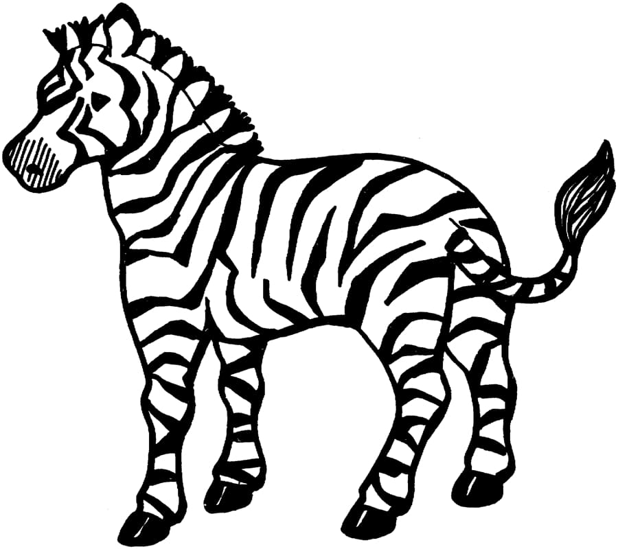 Flottere zebraer Tegninger til Farvelægning