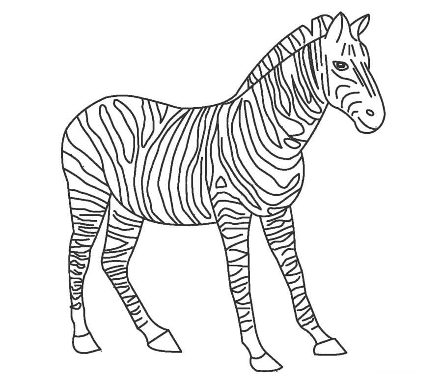 Gratis omrids af zebraer Tegninger til Farvelægning