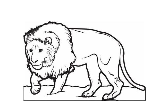 Gratis print løve Tegninger til Farvelægning