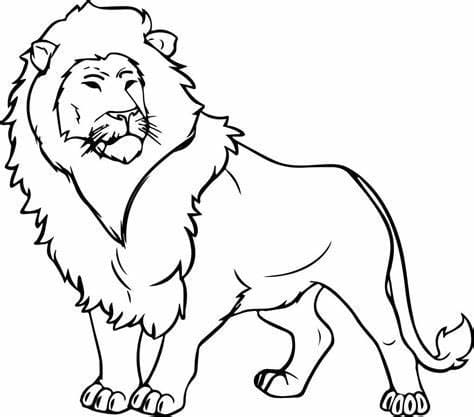 Løve JPG Tegninger til Farvelægning