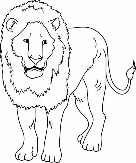 Løve omrids Tegninger til Farvelægning
