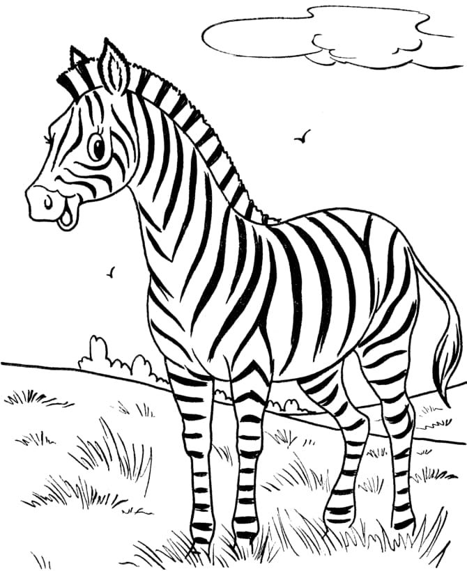 Søde zebraer Tegninger til Farvelægning