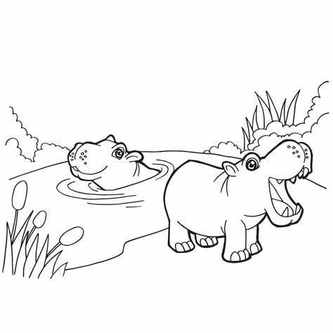 Udskriv Hippo billede Tegninger til Farvelægning