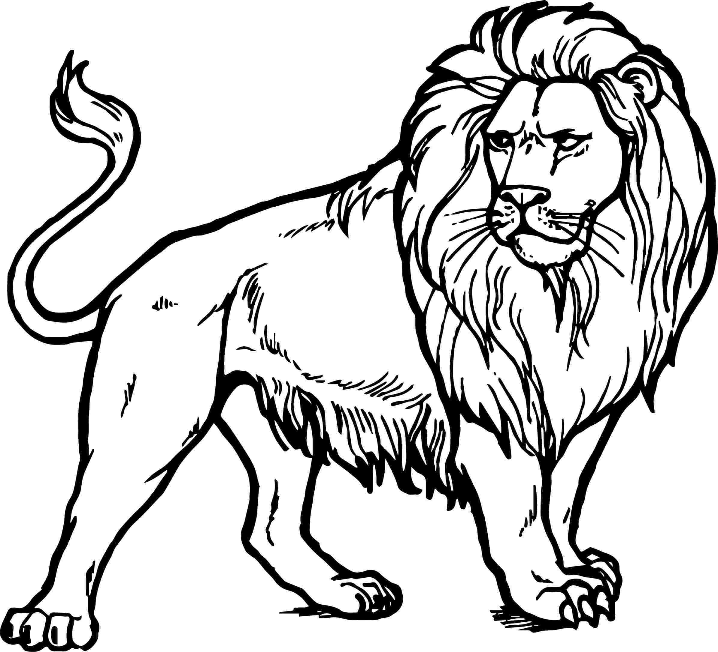 Udskriv Lion-kontur Tegninger til Farvelægning