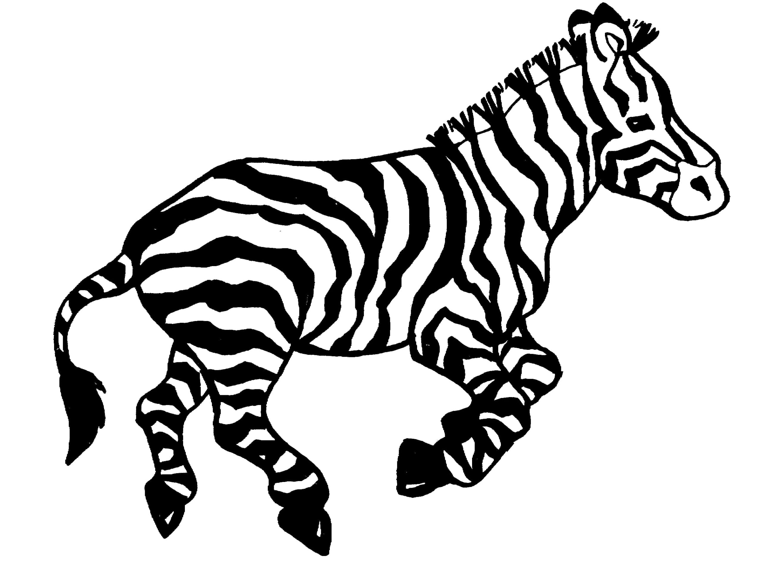 Udskriv Zebras omrids Tegninger til Farvelægning