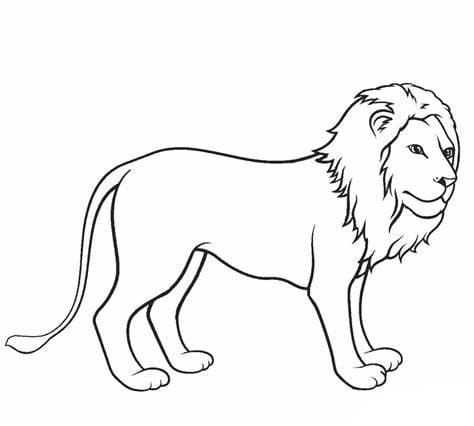 Udskrivbart løve billede Tegninger til Farvelægning