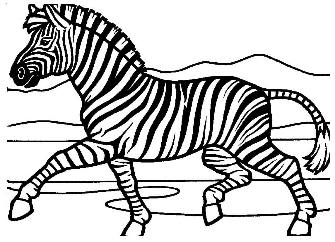 Zebraer JPG Tegninger til Farvelægning